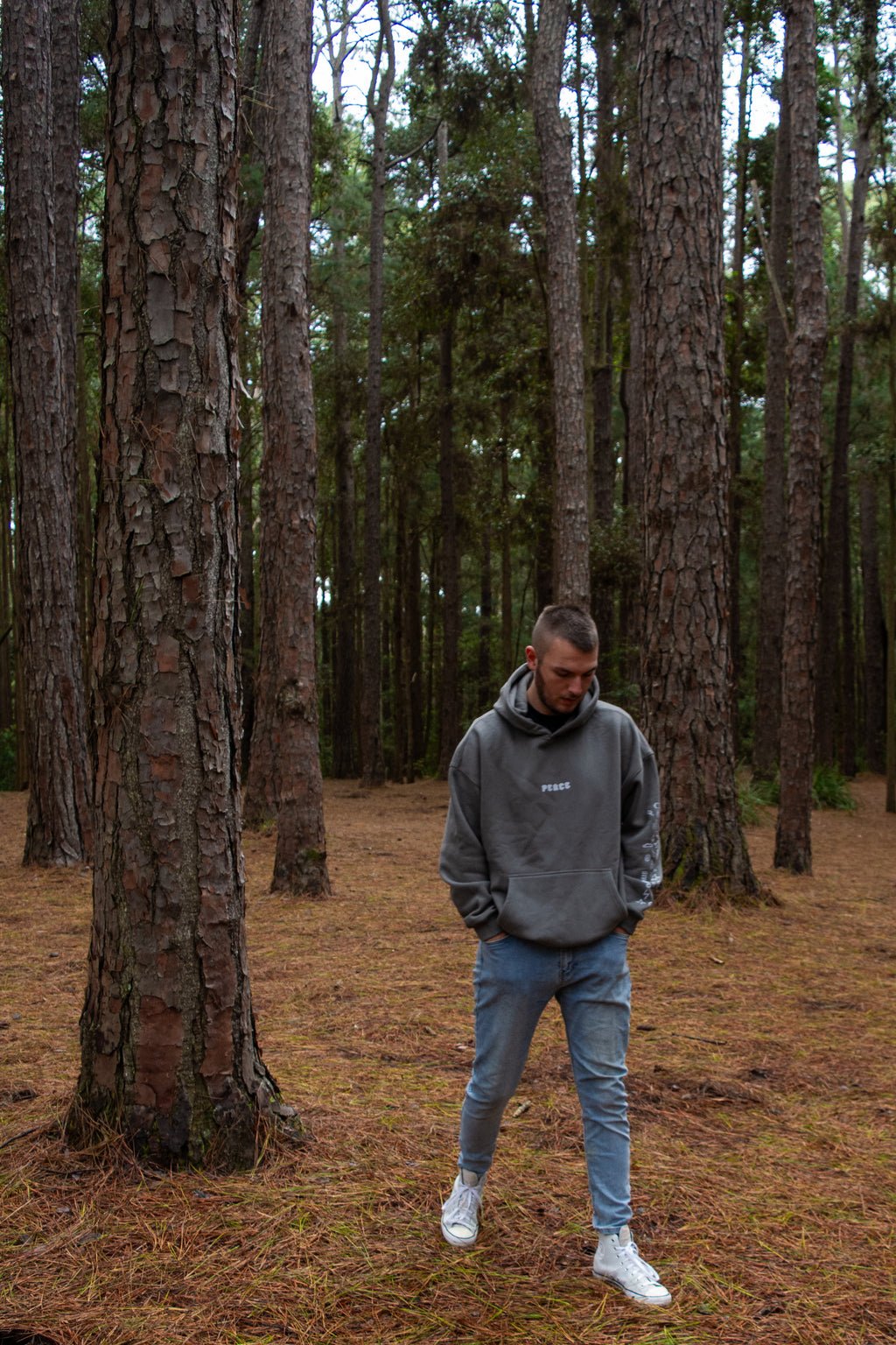Peace Amongst It All Hoodie (Grey)